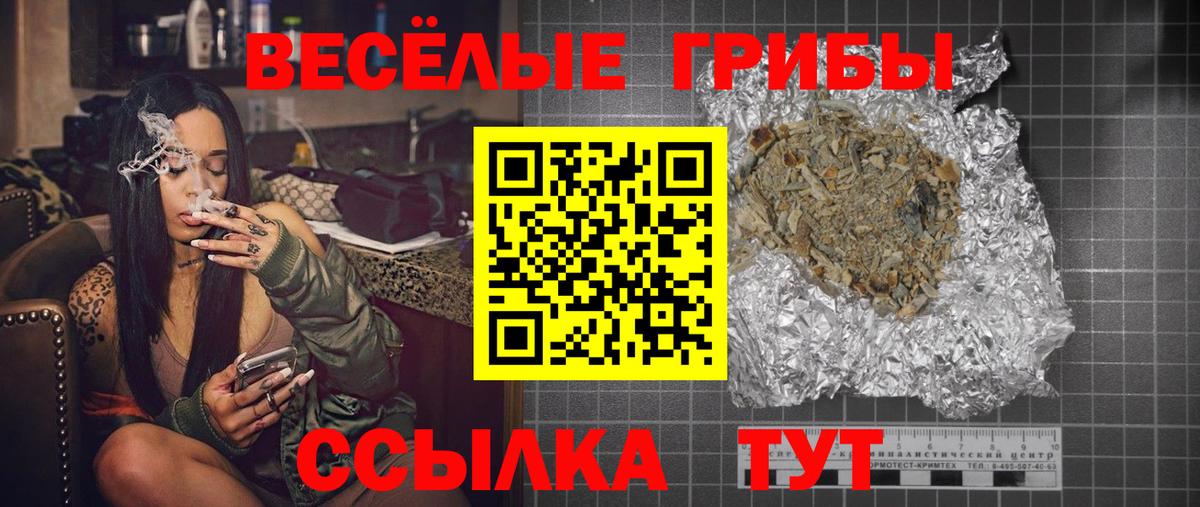 Урус-Мартан  Псилоцибиновые грибы Cubensis  Вход с VPN  Псилоцибиновые грибы мицелий 